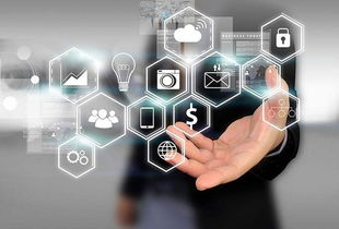 早團商城 免費社區團購可信嗎？企業入場需謹慎的三大方面